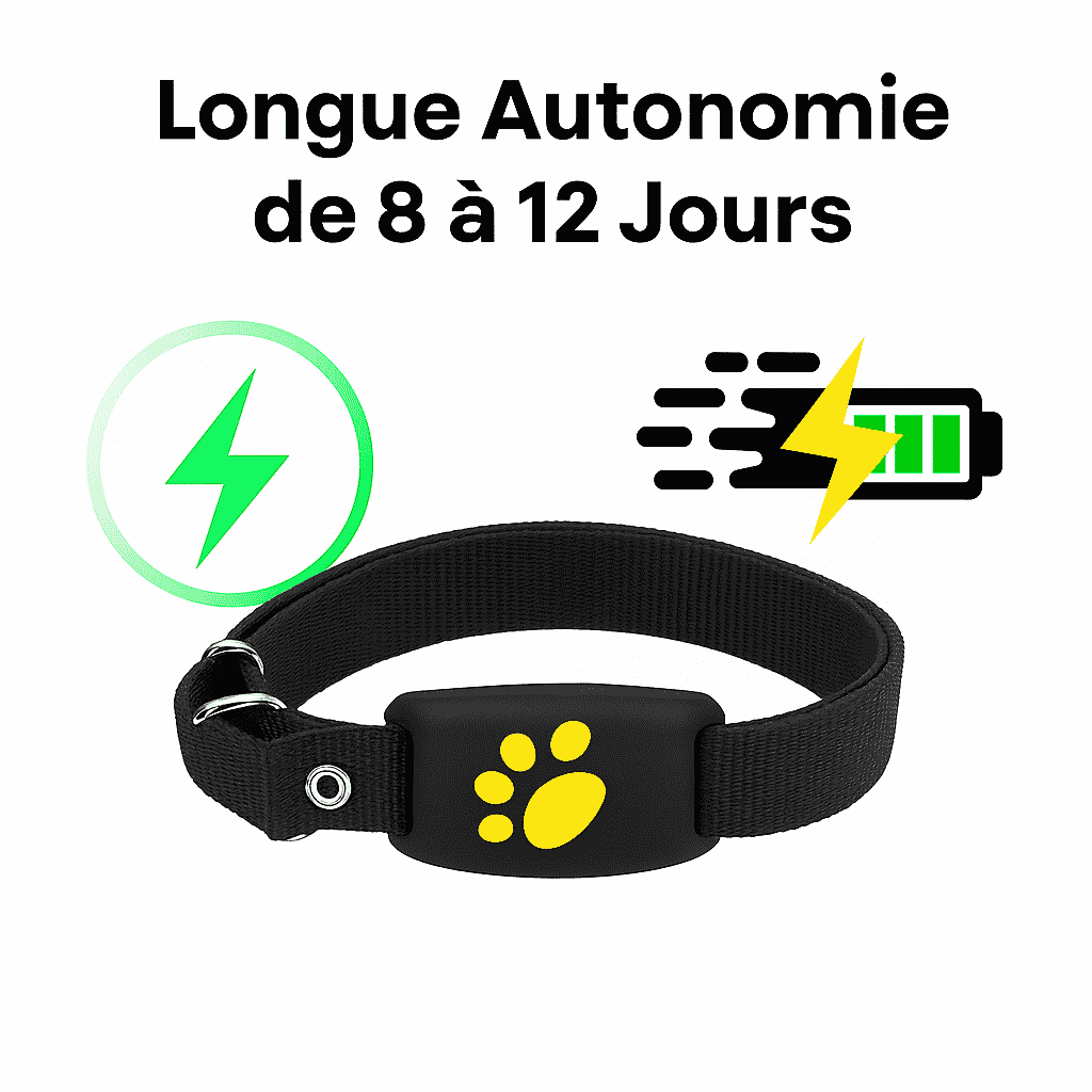 Caniggo™ – Collier GPS Chien Sans Abonnement Suivi Fiable en Temps Réel