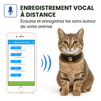 Catiggo™ – Collier GPS Chat Sans Abonnement Localisation Fiable Instantanée
