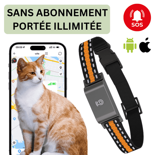 Comfexia™ – Collier GPS Chat Sans Abonnement Suivi Précis & Illimité