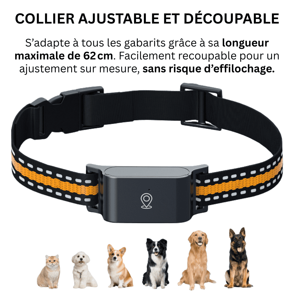 Comfexia™ – Collier GPS Chat Sans Abonnement Suivi Précis & Illimité