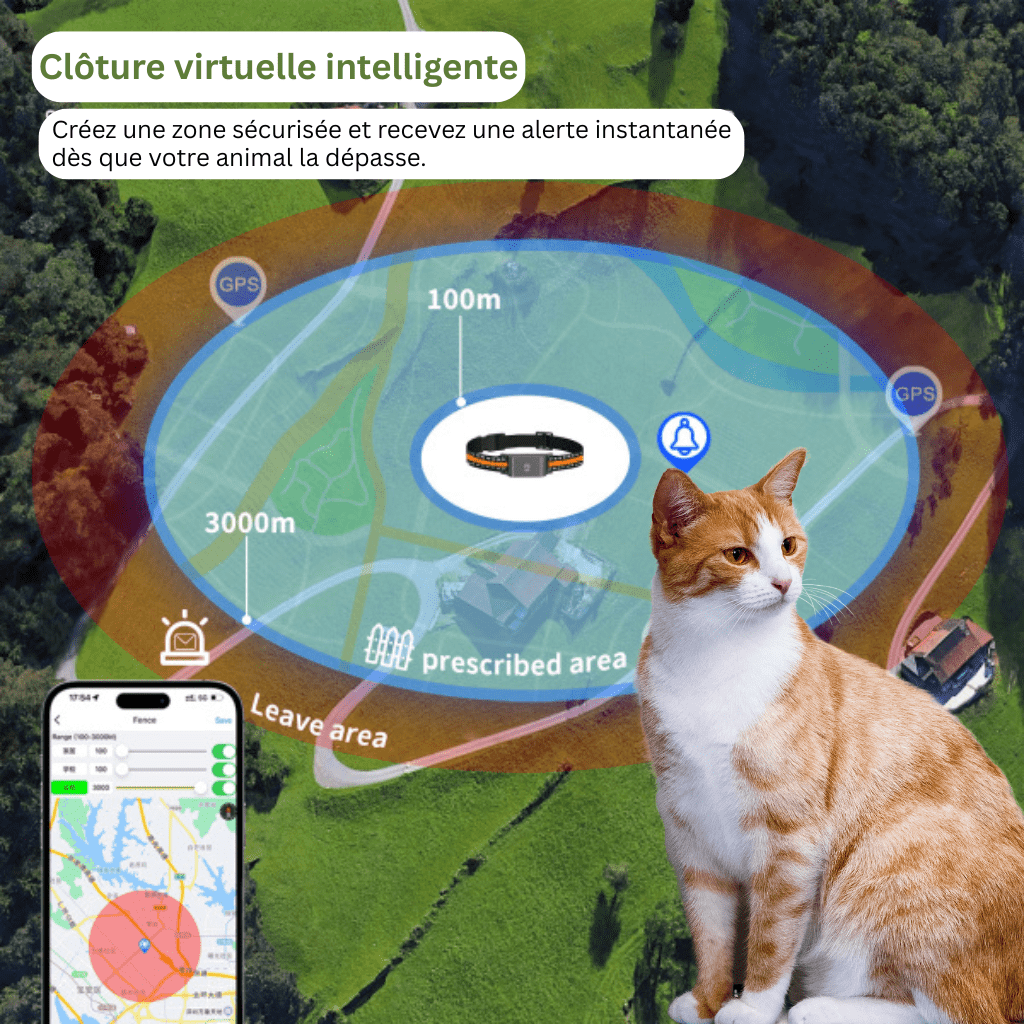 Comfexia™ – Collier GPS Chat Sans Abonnement Suivi Précis & Illimité