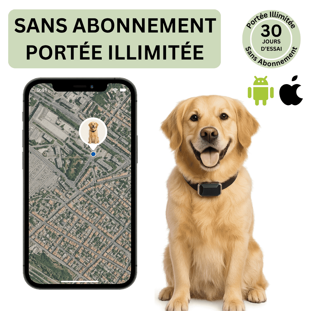Comfexia™ – Collier GPS Chien Abonnement, Portée Illimitée