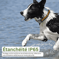 Comfexia™ – Collier GPS Chien Sans Abonnement Suivi Précis & Illimité