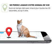 Comfexia™ – Collier GPS Chien Abonnement, Portée Illimitée