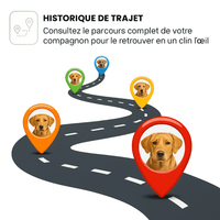Comfexia™ – Collier GPS Chien Abonnement, Portée Illimitée