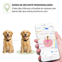 Comfexia™ – Collier GPS Chien Abonnement, Portée Illimitée