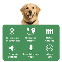 Comfexia™ – Collier GPS Chien Abonnement, Portée Illimitée