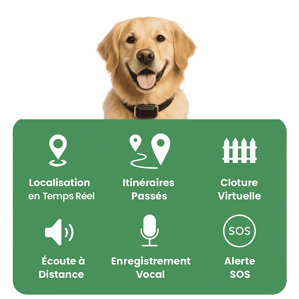 Comfexia™ – Collier GPS Chien Abonnement, Portée Illimitée