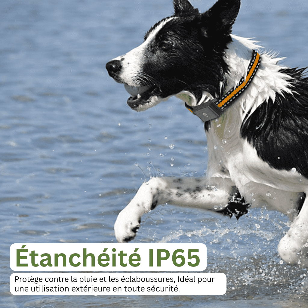 Comfexia™ – Collier GPS Chien Sans Abonnement Suivi Précis & Illimité