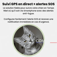 Comfexia™ – Traceur GPS Chat Sans Abonnement Suivi Précis, IOS