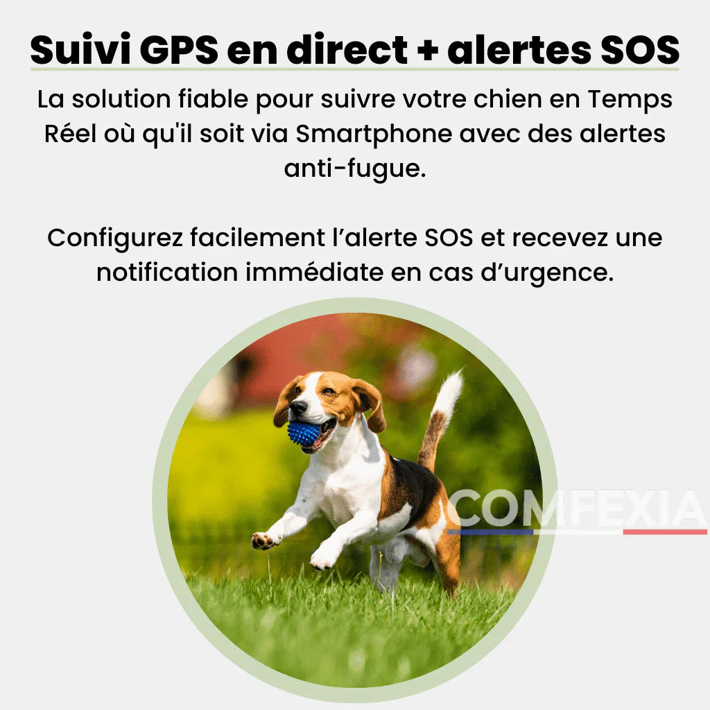 Comfexia™ – Traceur GPS Chien Sans Abonnement, Suivi Précis – IOS