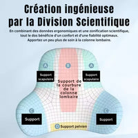 Coussin Lombaire Ergonomique En Mousse à Mémoire de Forme