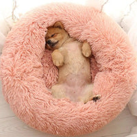 Coussin Douillet pour Chien - Lit Canin Lavable