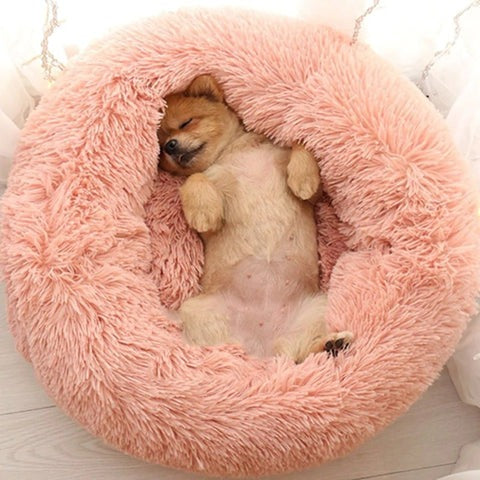 Coussin Douillet pour Chien - Lit Canin Lavable