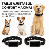 Comfexia™ – Collier GPS Chien Abonnement, Portée Illimitée
