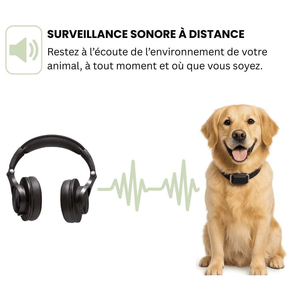Comfexia™ – Collier GPS Chien Abonnement, Portée Illimitée