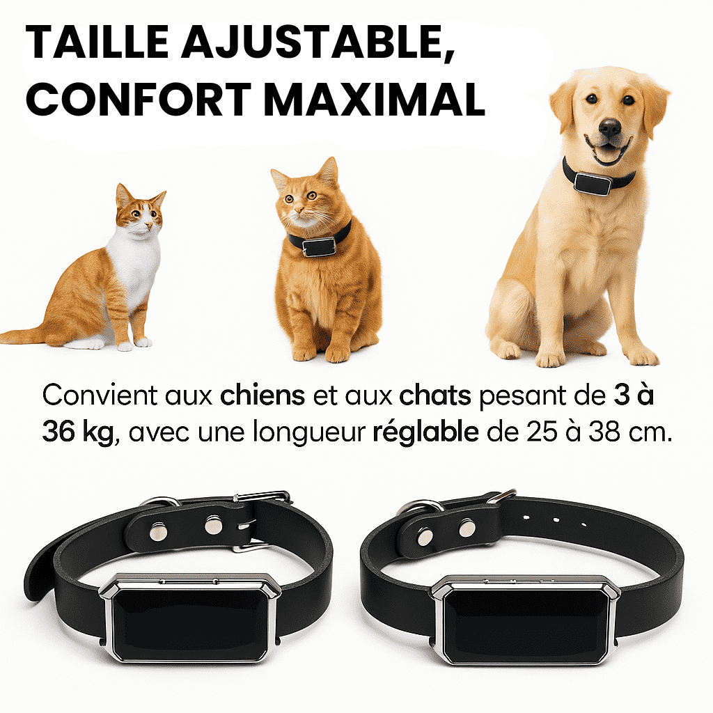 Comfexia™ – Collier GPS Sans Abonnement avec Portée Illimitée