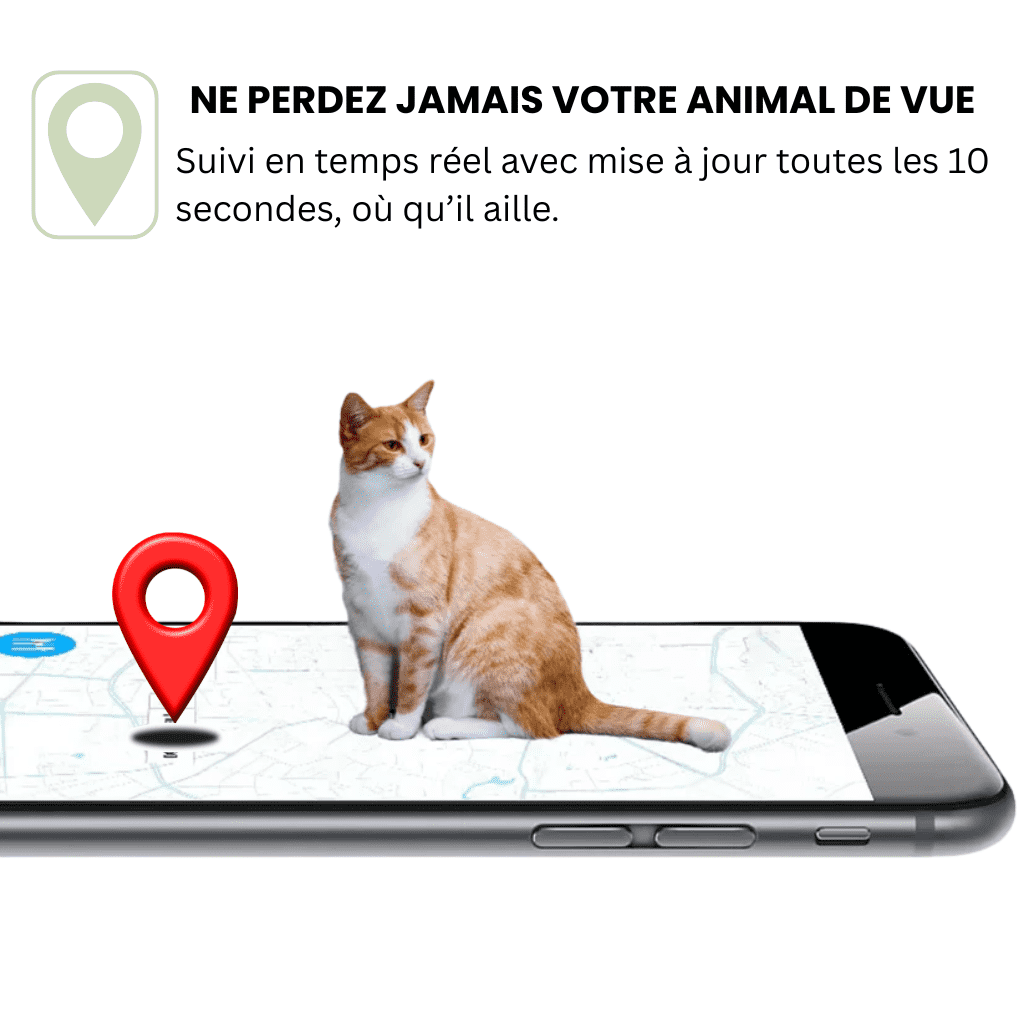 Comfexia™ – Collier GPS Sans Abonnement avec Portée Illimitée