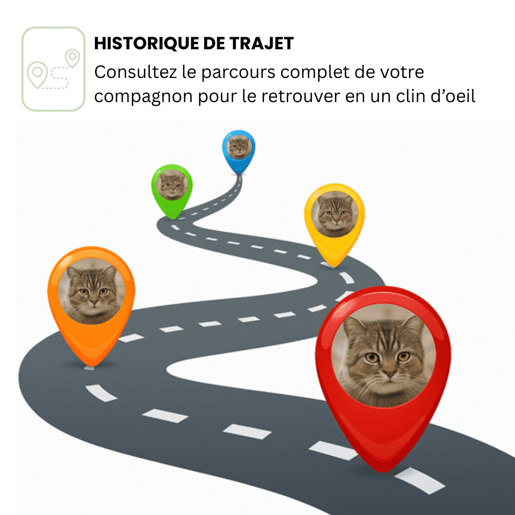 Comfexia™ – Collier GPS Sans Abonnement avec Portée Illimitée