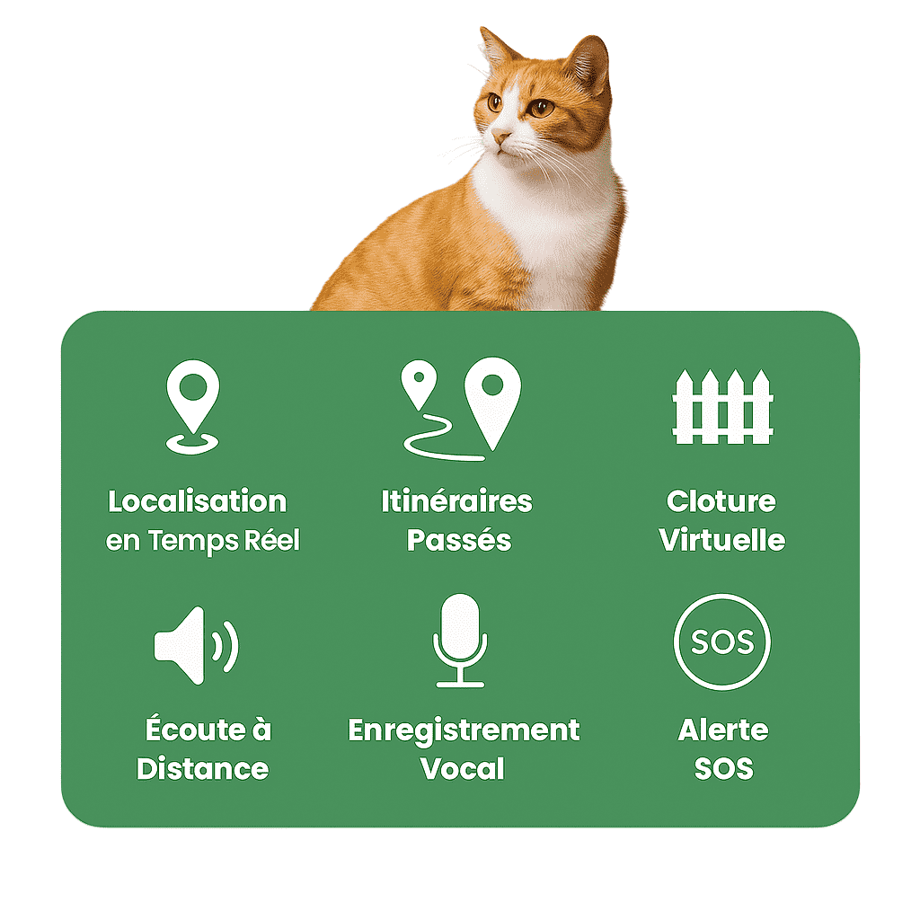 Comfexia™ – Collier GPS Sans Abonnement avec Portée Illimitée