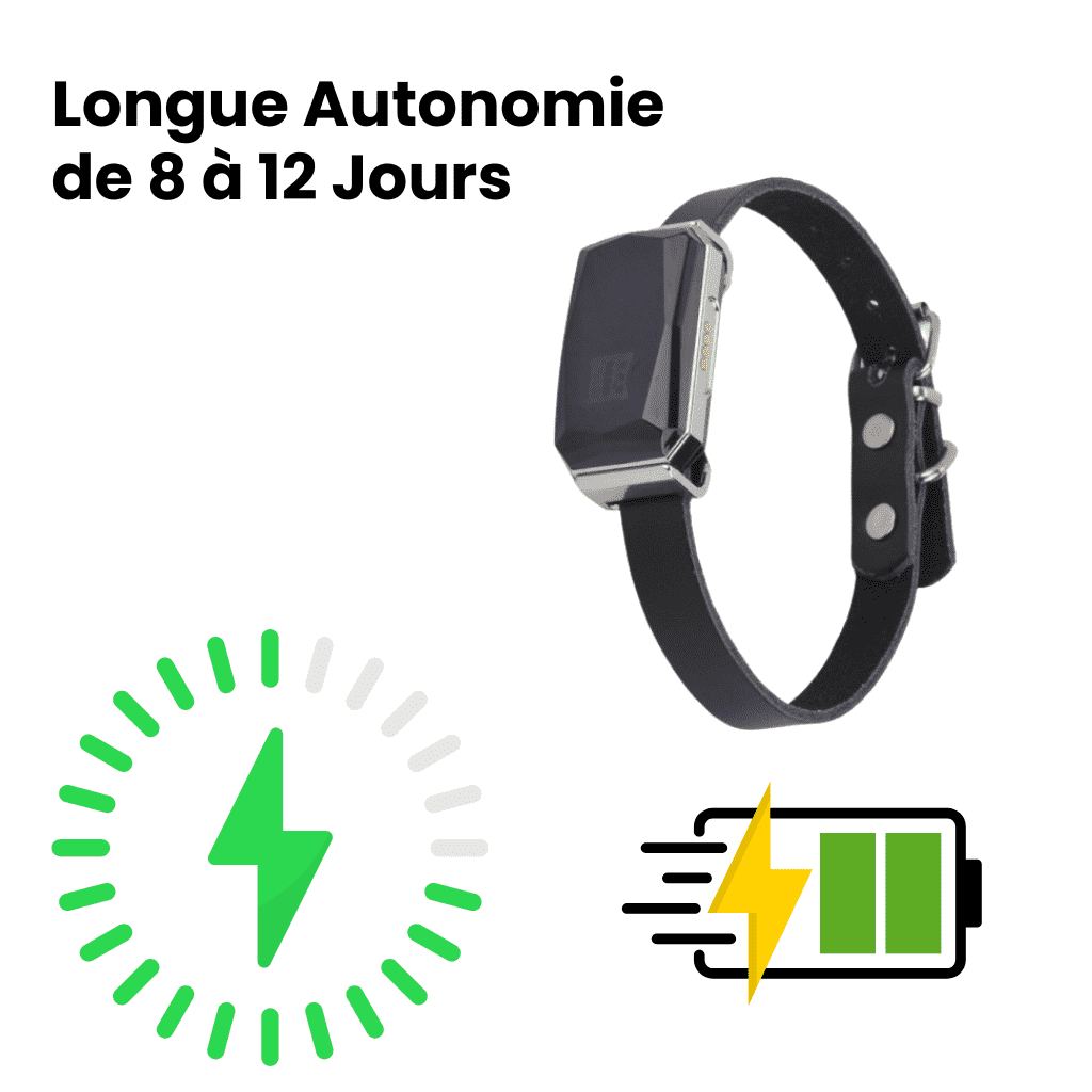 Comfexia™ – Collier GPS Sans Abonnement avec Portée Illimitée