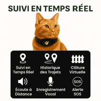 Mewly™ – Collier GPS Chat Sans Abonnement Suivi Instantané Haute Précision