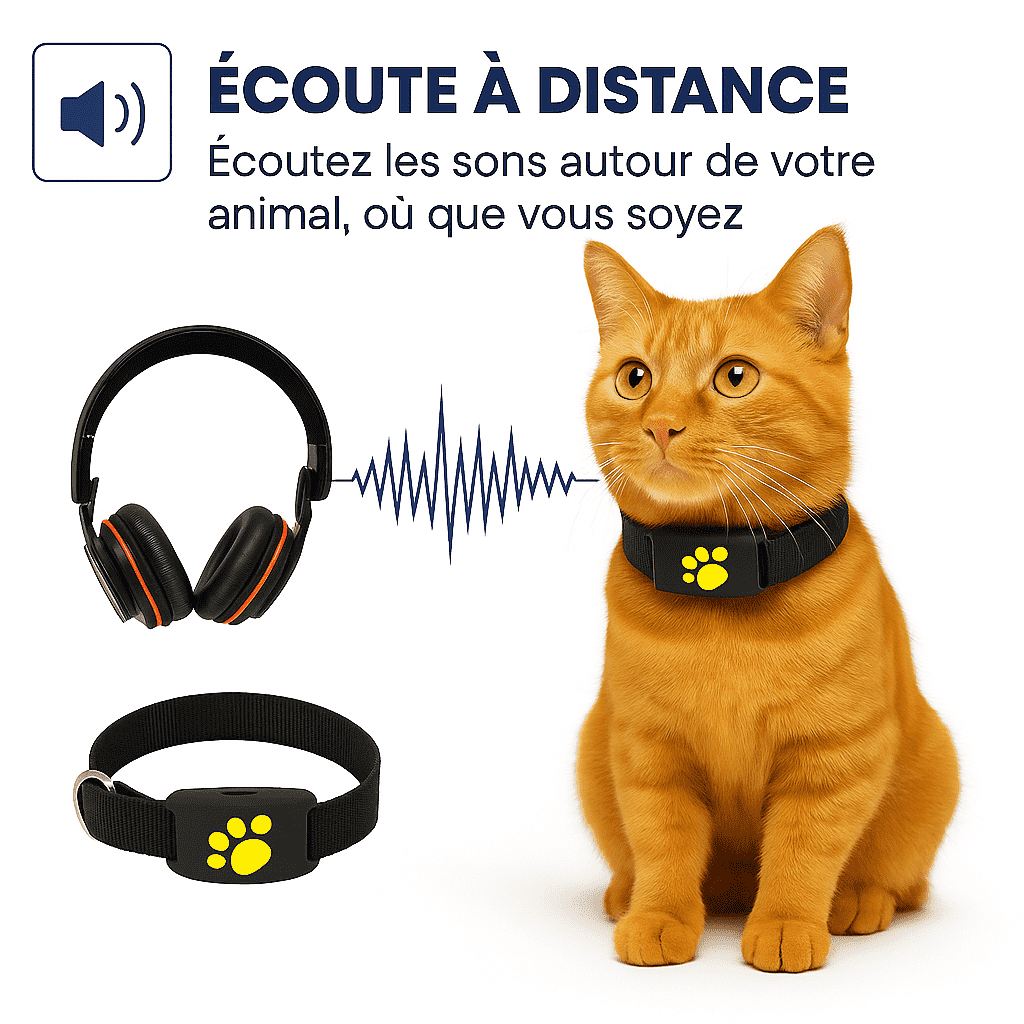 Mewly™ – Collier GPS Chat Sans Abonnement Suivi Instantané Haute Précision