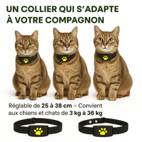 Catiggo™ – Collier GPS Chat Sans Abonnement Localisation Fiable Instantanée