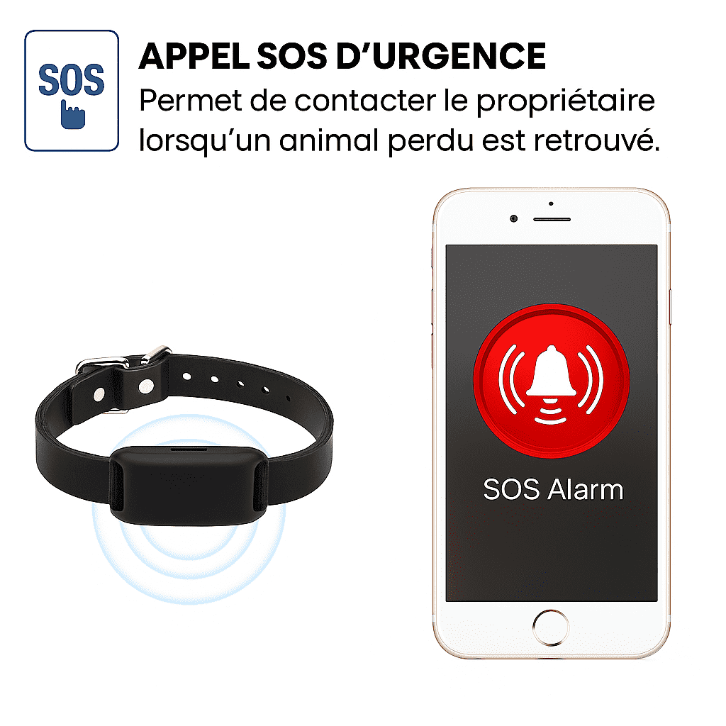 Catiggo™ – Collier GPS Chat Sans Abonnement Localisation Fiable Instantanée