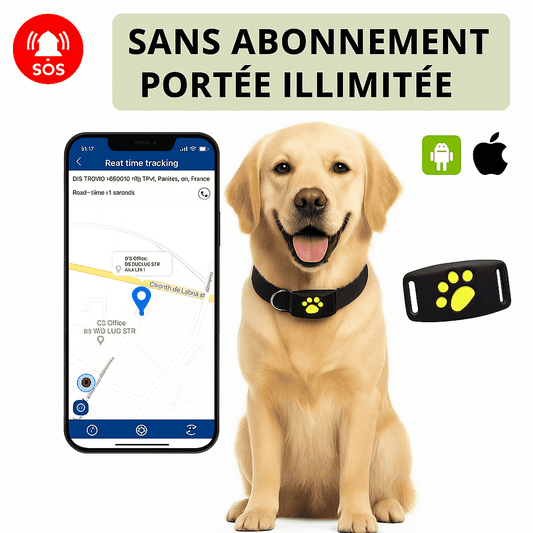 Pawly™ – Collier GPS Chien Sans Abonnement Localisation Précise Instantanée
