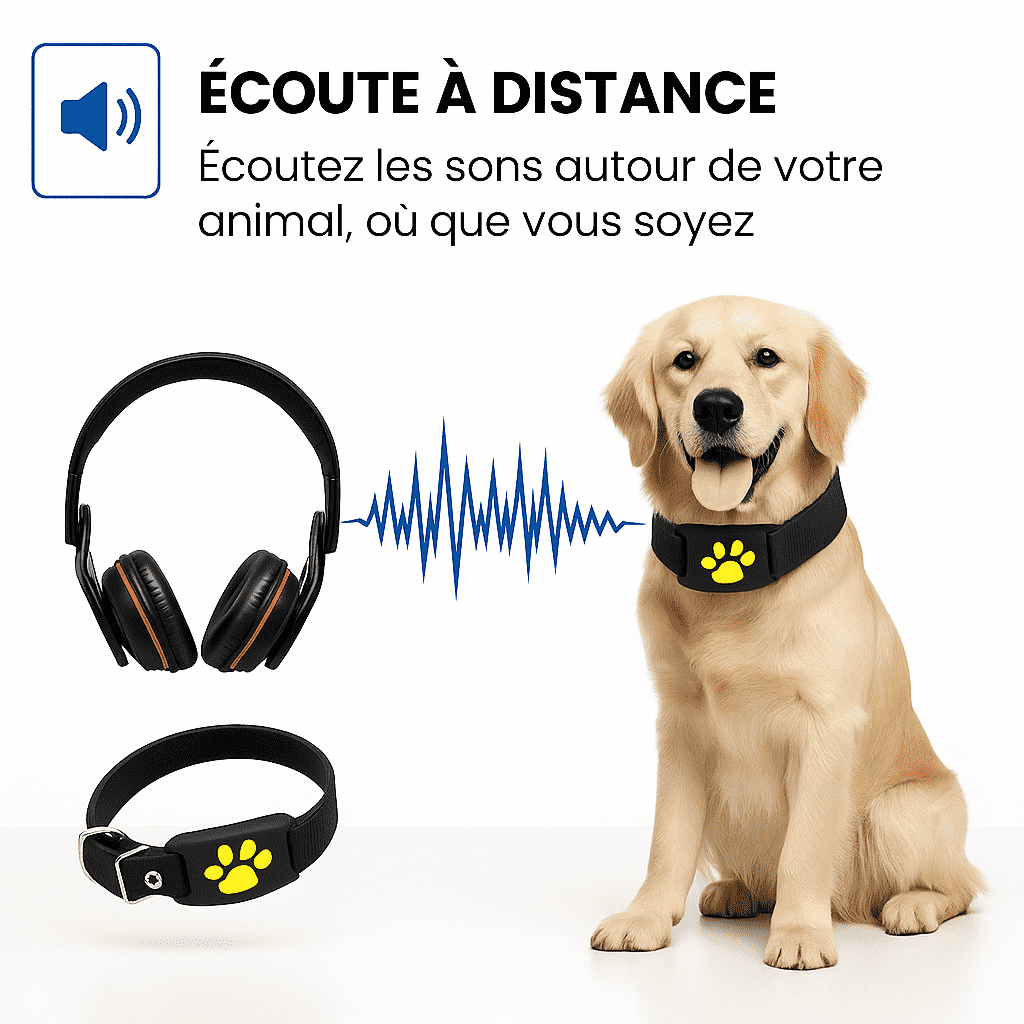 Pawly™ – Collier GPS Chien Sans Abonnement Localisation Précise Instantanée