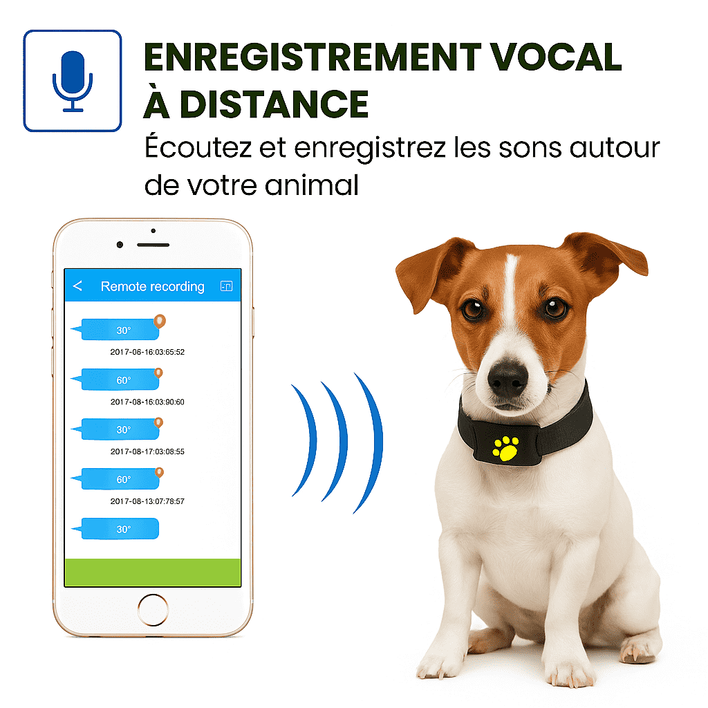 Pawly™ – Collier GPS Chien Sans Abonnement Localisation Précise Instantanée