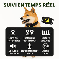 Caniggo™ – Collier GPS Chien Sans Abonnement Suivi Fiable en Temps Réel