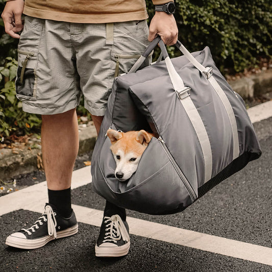 Support de Transport Chien pour Voiture - Santeova