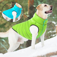 Veste étanche double-face pour chien
