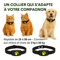 Pawly™ – Collier GPS Chien Sans Abonnement Localisation Précise Instantanée