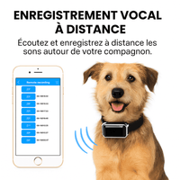 Petrovia™ – Collier GPS Sans Abonnement pour Chien & Chat, Portée Illimitée