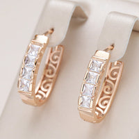 Boucles d'oreilles Élégant en Lierre Incrusté de Cristal