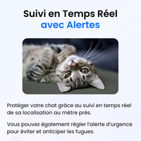 Traceur GPS pour Chat Sans Abonnement