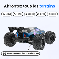 Voiture Télécommandée Buggy Motion Max