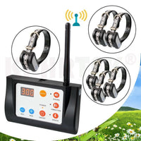 Clôture Électronique Pour Chien En Liberté - Santeova