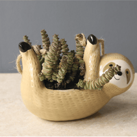 Cache-Pot Paresseux