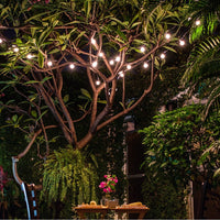 Guirlande d'Ampoules Solaires LED Pour Extérieur