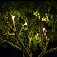 Guirlande d'Ampoules Solaires LED Pour Extérieur