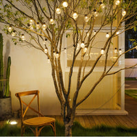 Guirlande d'Ampoules Solaires LED Pour Extérieur