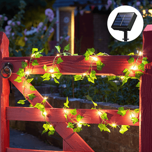 Guirlande Lumineuse Solaire Feuilles de Lierre