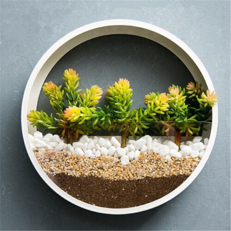 Jardinière Murale Intérieur Transparente Ronde