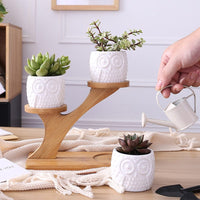 Porte Plante d'intérieur Design en Bambou