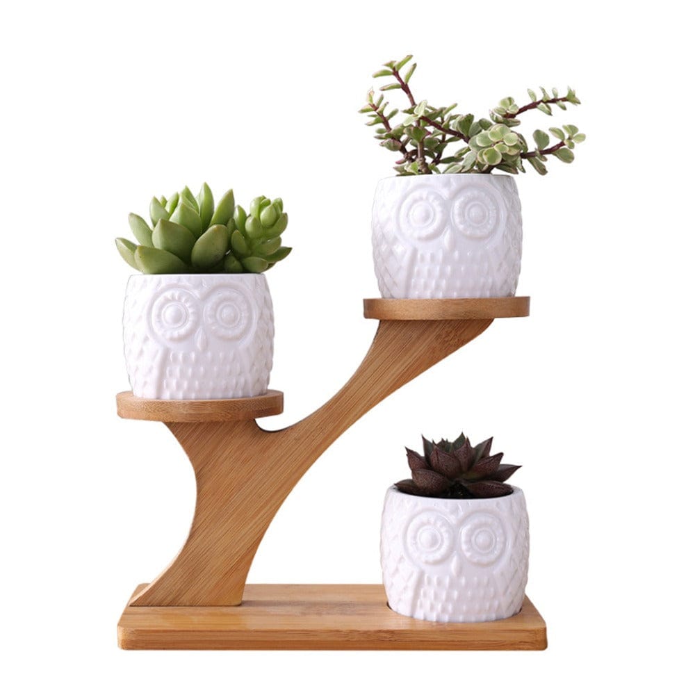 Porte Plante d'intérieur Design en Bambou