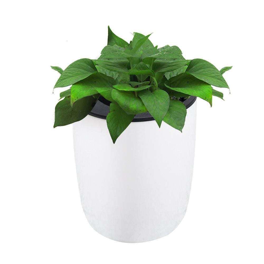 Pot de Fleur Mural Blanc